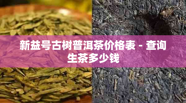 新益号古树普洱茶价格表 - 查询生茶多少钱