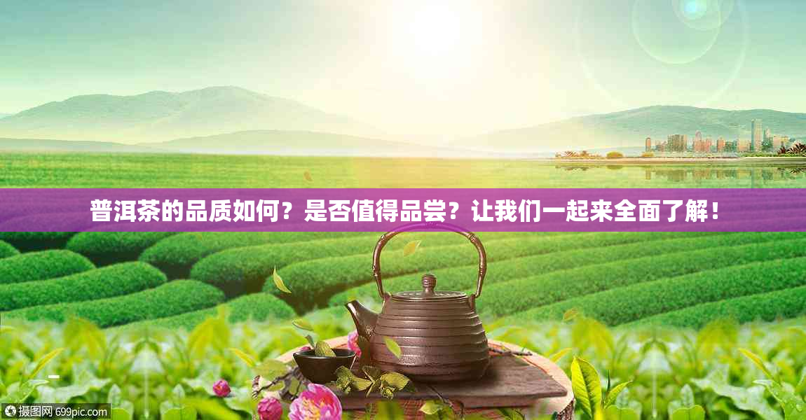 普洱茶的品质如何？是否值得品尝？让我们一起来全面了解！