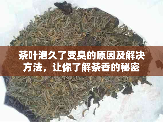 茶叶泡久了变臭的原因及解决方法，让你了解茶香的秘密