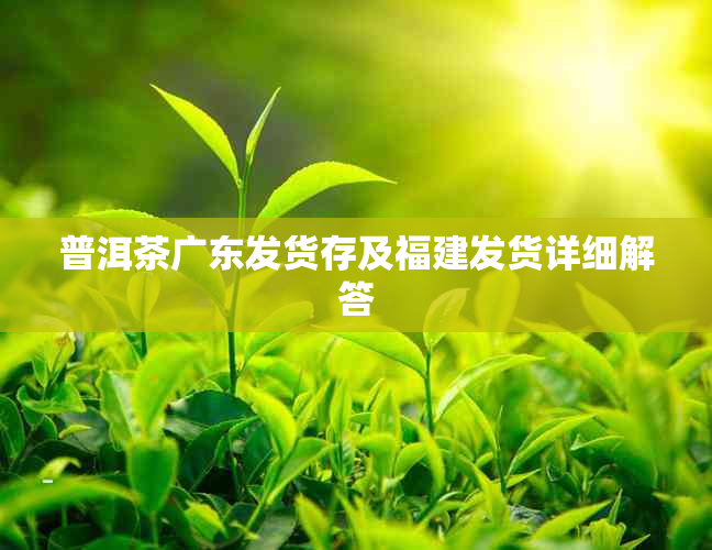 普洱茶广东发货存及福建发货详细解答