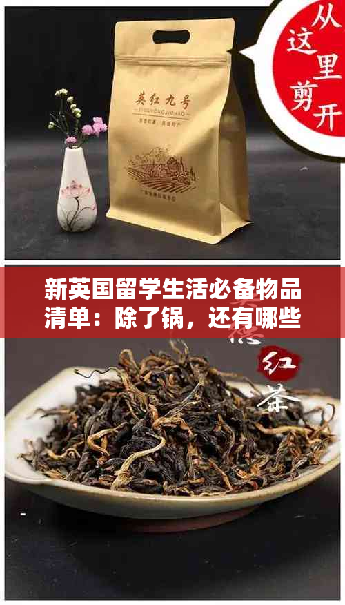 新英国留学生活必备物品清单：除了锅，还有哪些不可或缺的物品？