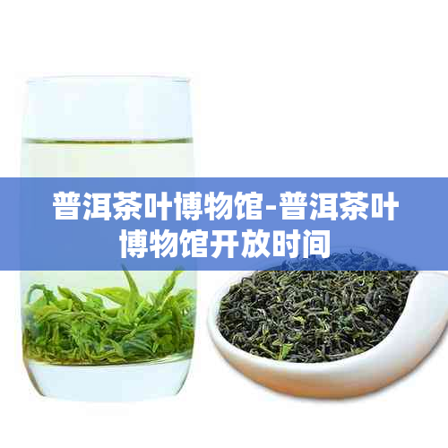 普洱茶叶博物馆-普洱茶叶博物馆开放时间