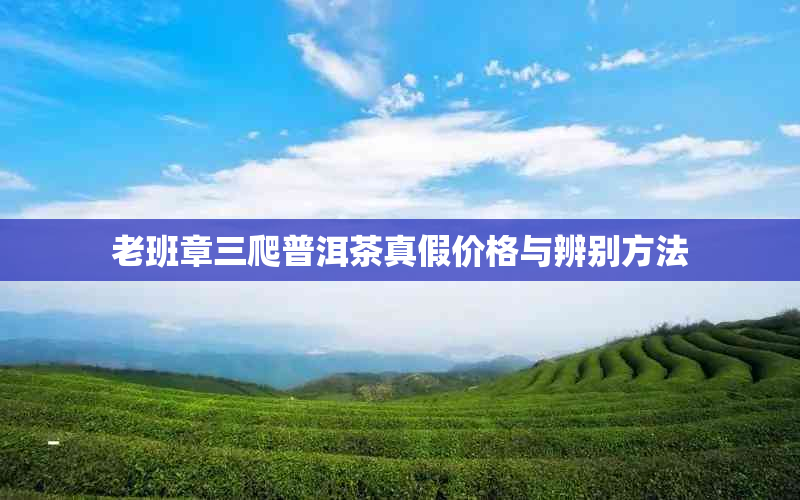 老班章三爬普洱茶真假价格与辨别方法