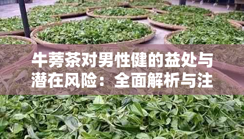 牛蒡茶对男性健的益处与潜在风险：全面解析与注意事项