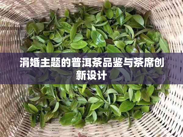 涓婚主题的普洱茶品鉴与茶席创新设计