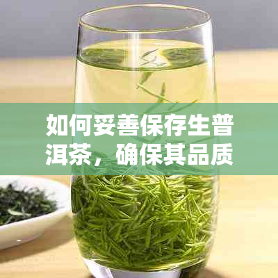 如何妥善保存生普洱茶，确保其品质和口感不受影响？