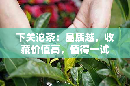 下关沱茶：品质越，收藏价值高，值得一试