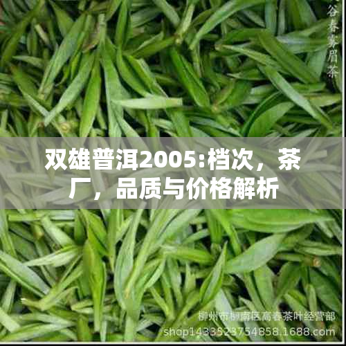 双雄普洱2005:档次，茶厂，品质与价格解析