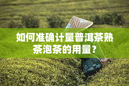 如何准确计量普洱茶熟茶泡茶的用量？