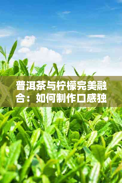 普洱茶与柠檬完美融合：如何制作口感独特的柠檬普洱茶？