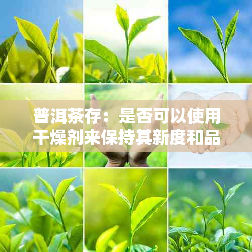 普洱茶存：是否可以使用干燥剂来保持其新度和品质？