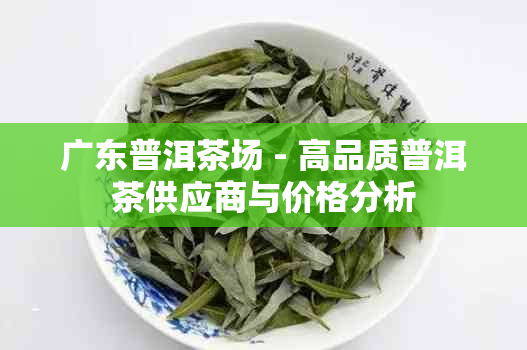 广东普洱茶场 - 高品质普洱茶供应商与价格分析