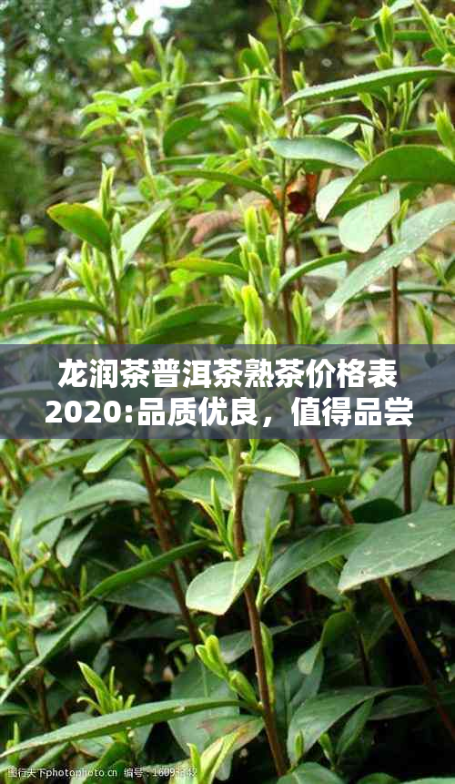 龙润茶普洱茶熟茶价格表2020:品质优良，值得品尝！