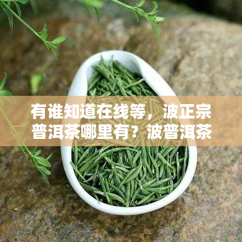 有谁知道在线等，波正宗普洱茶哪里有？波普洱茶叶场在哪里？