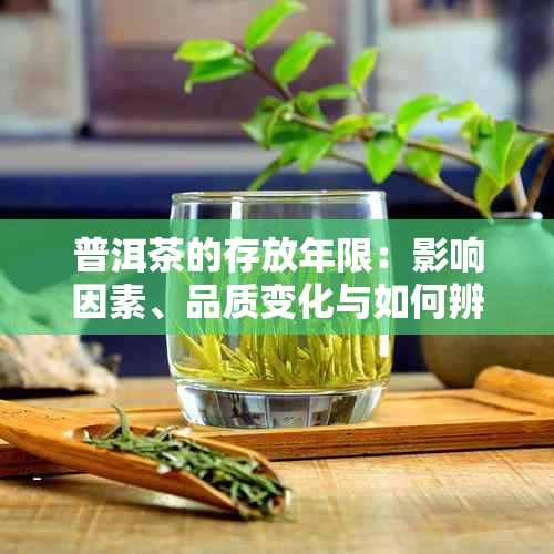 普洱茶的存放年限：影响因素、品质变化与如何辨别？