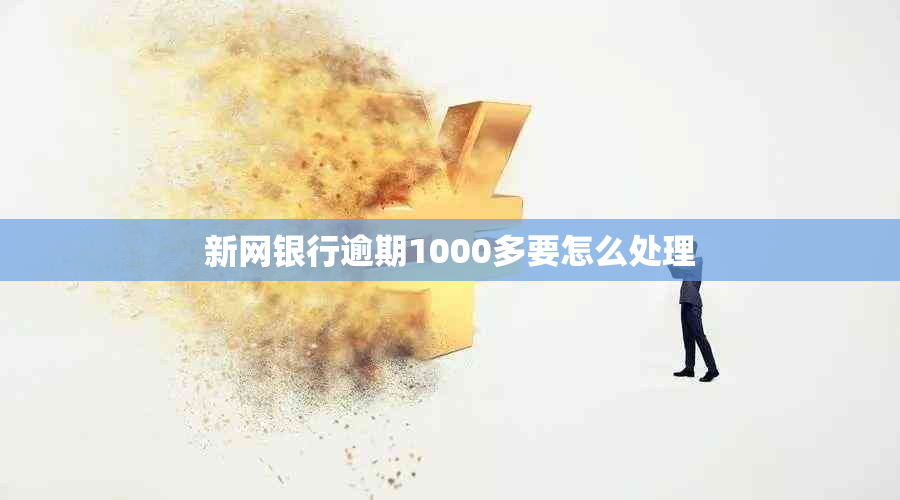 新网银行逾期1000多要怎么处理