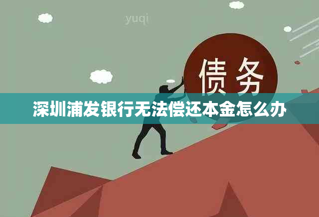 深圳浦发银行无法偿还本金怎么办