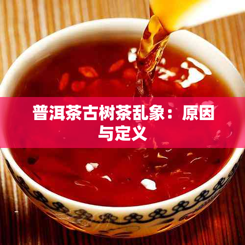 普洱茶古树茶乱象：原因与定义