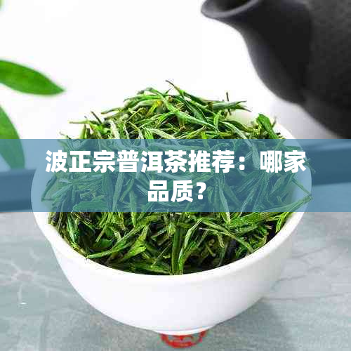 波正宗普洱茶推荐：哪家品质？