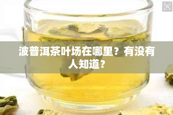 波普洱茶叶场在哪里？有没有人知道？