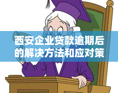 西安企业贷款逾期后的解决方法和应对策略