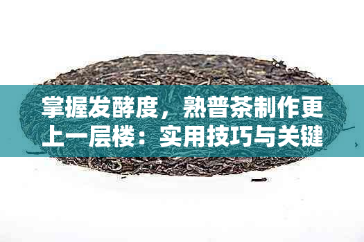 掌握发酵度，熟普茶制作更上一层楼：实用技巧与关键参数解析