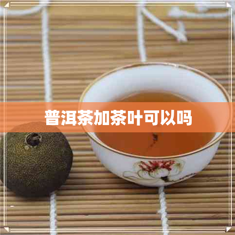 普洱茶加茶叶可以吗