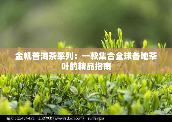 金帆普洱茶系列：一款 *** 全球各地茶叶的精品指南