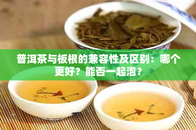 普洱茶与板根的兼容性及区别：哪个更好？能否一起泡？