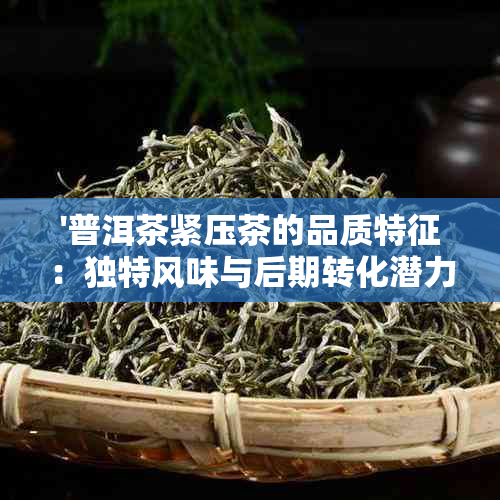 '普洱茶紧压茶的品质特征：独特风味与后期转化潜力'