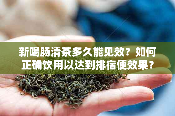 新喝肠清茶多久能见效？如何正确饮用以达到排宿便效果？