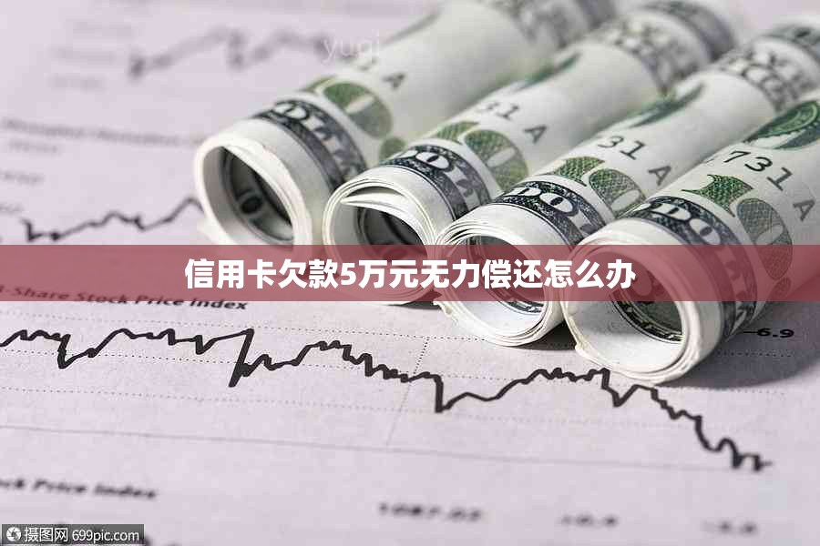 信用卡欠款5万元无力偿还怎么办