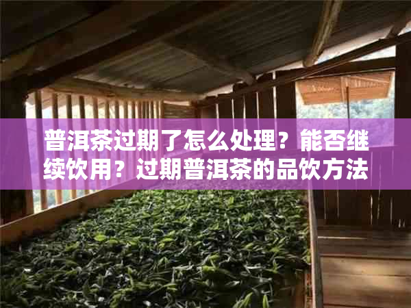 普洱茶过期了怎么处理？能否继续饮用？过期普洱茶的品饮方法和注意事项