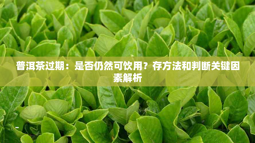 普洱茶过期：是否仍然可饮用？存方法和判断关键因素解析