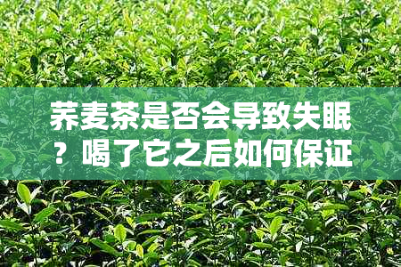 荞麦茶是否会导致失眠？喝了它之后如何保证良好的睡眠质量？