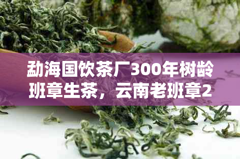 勐海国饮茶厂300年树龄班章生茶，云南老班章2015精选