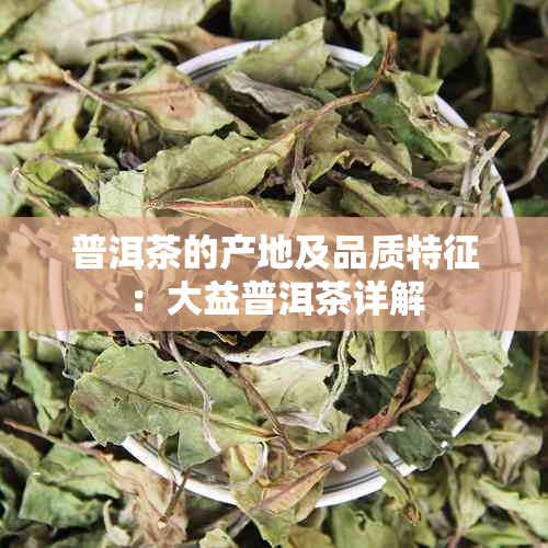 普洱茶的产地及品质特征：大益普洱茶详解