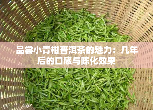 品尝小青柑普洱茶的魅力：几年后的口感与陈化效果