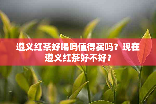 遵义红茶好喝吗值得买吗？现在遵义红茶好不好？