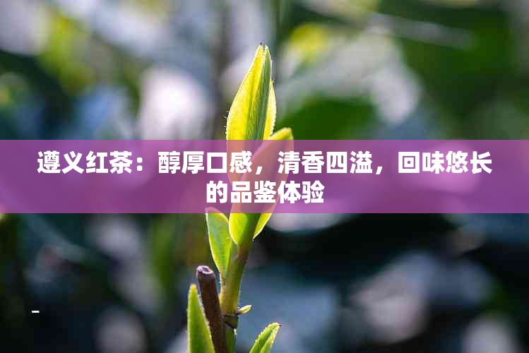 遵义红茶：醇厚口感，清香四溢，回味悠长的品鉴体验