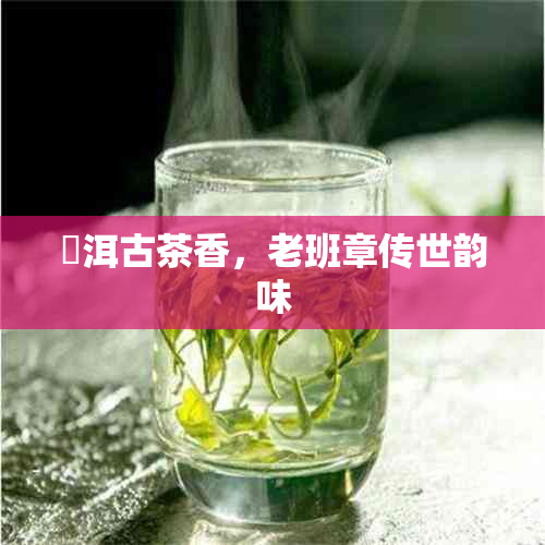 潽洱古茶香，老班章传世韵味