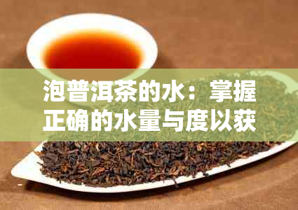 泡普洱茶的水：掌握正确的水量与度以获得口感与效果