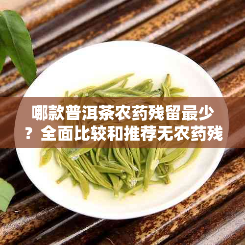 哪款普洱茶农残留最少？全面比较和推荐无农残留的优质普洱茶