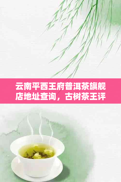 云南平西王府普洱茶旗舰店地址查询，古树茶王评价及购买方式