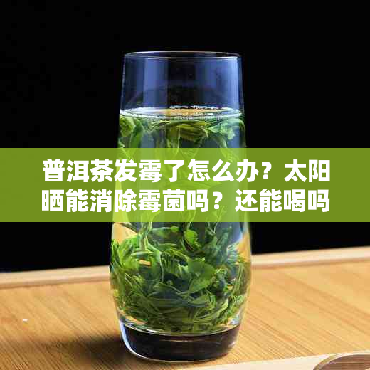 普洱茶发霉了怎么办？太阳晒能消除霉菌吗？还能喝吗？