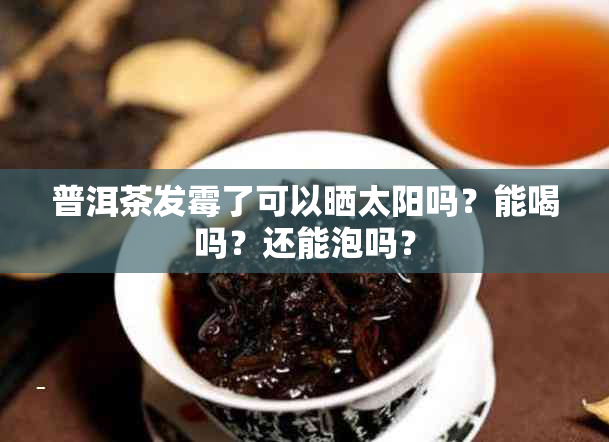 普洱茶发霉了可以晒太阳吗？能喝吗？还能泡吗？