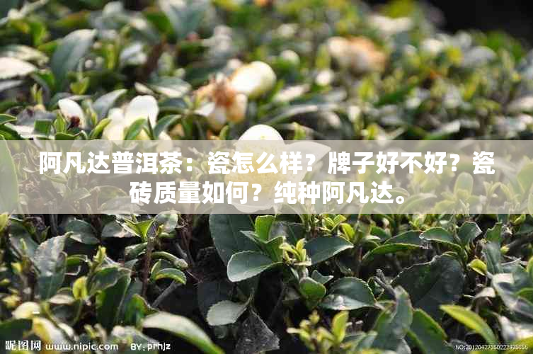 阿凡达普洱茶：瓷怎么样？牌子好不好？瓷砖质量如何？纯种阿凡达。