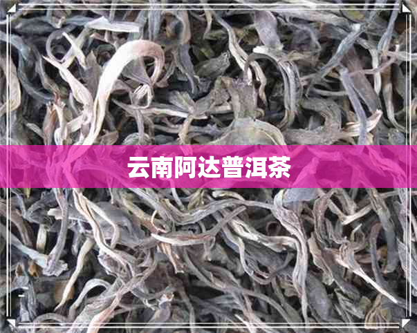 云南阿达普洱茶