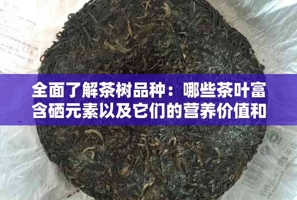 全面了解茶树品种：哪些茶叶富含硒元素以及它们的营养价值和功效