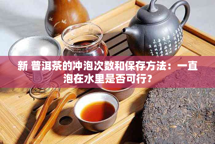 新 普洱茶的冲泡次数和保存方法：一直泡在水里是否可行？